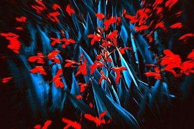 《星空》预载容量揭晓 首发或支持FSR 3.0技术